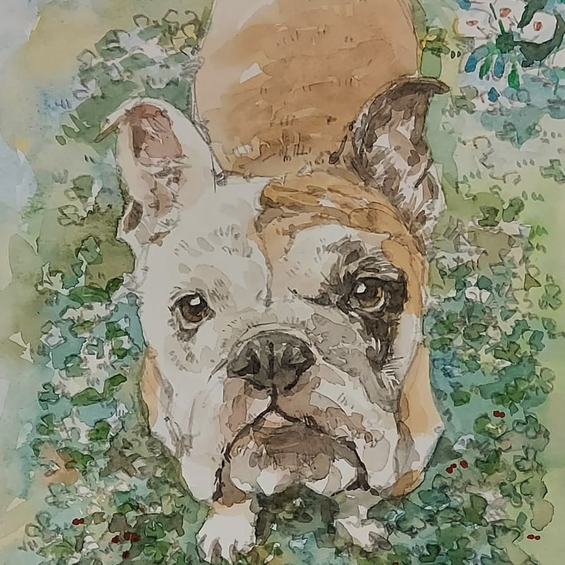 ペットイラスト制作 SMサイズ背景制作付き | あにまる堂