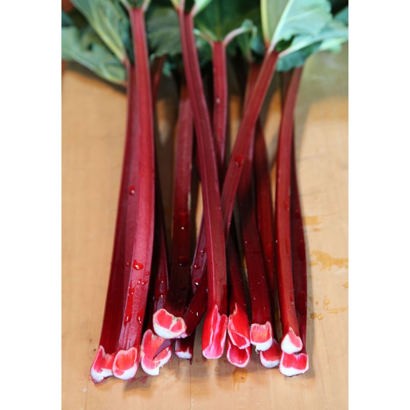 ルバーブジャム150g 2個入り（送料込み） | 八ヶ岳ルバーブハウス