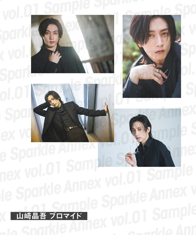 Sparkle Annex vol.01』山﨑晶吾 限定版・通常版 | MEDIABOYSHOP