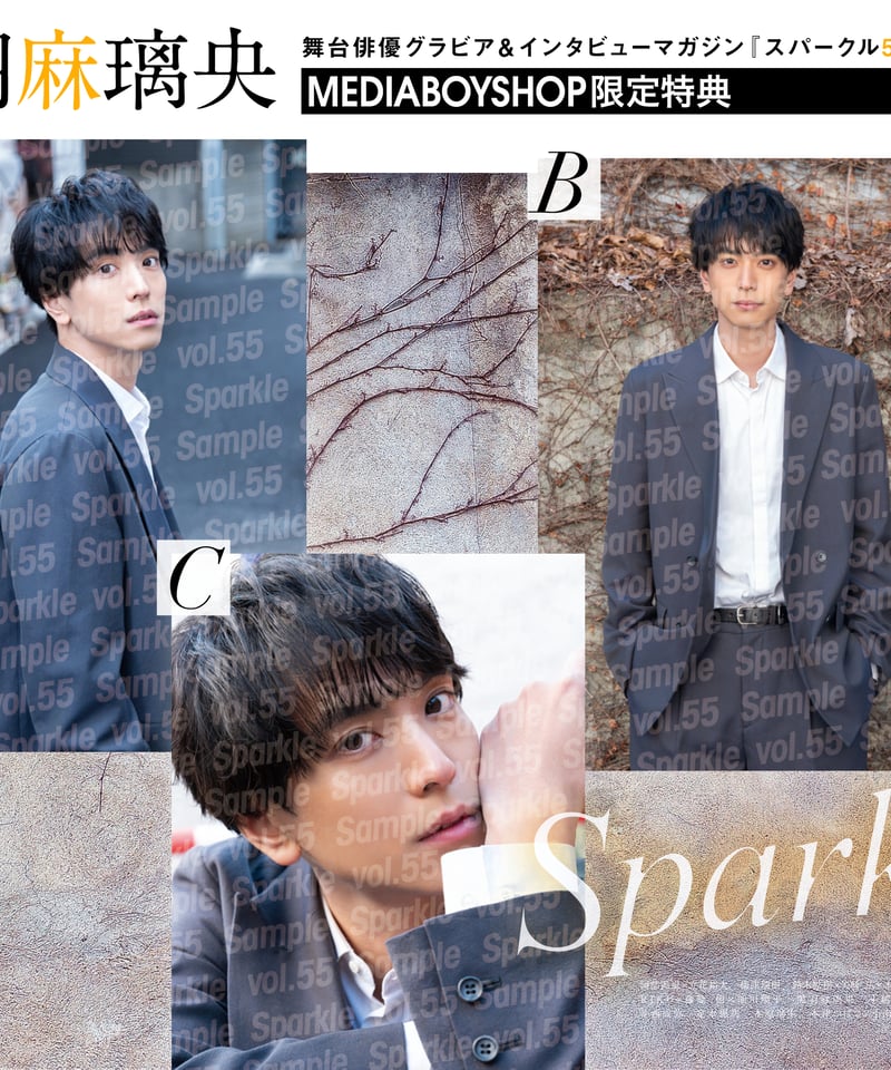 ASTRO stargraphy 1日目 入場特典 落下物 ASTRO ソウルコン入場特典☆サイン印刷入り落下物2セット付き