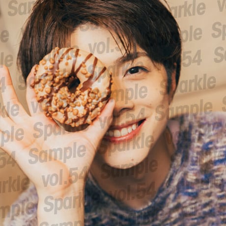 『Sparkle vol.54』【MEDIABOY SHOP限定特典：佐藤信長ポストカードC】