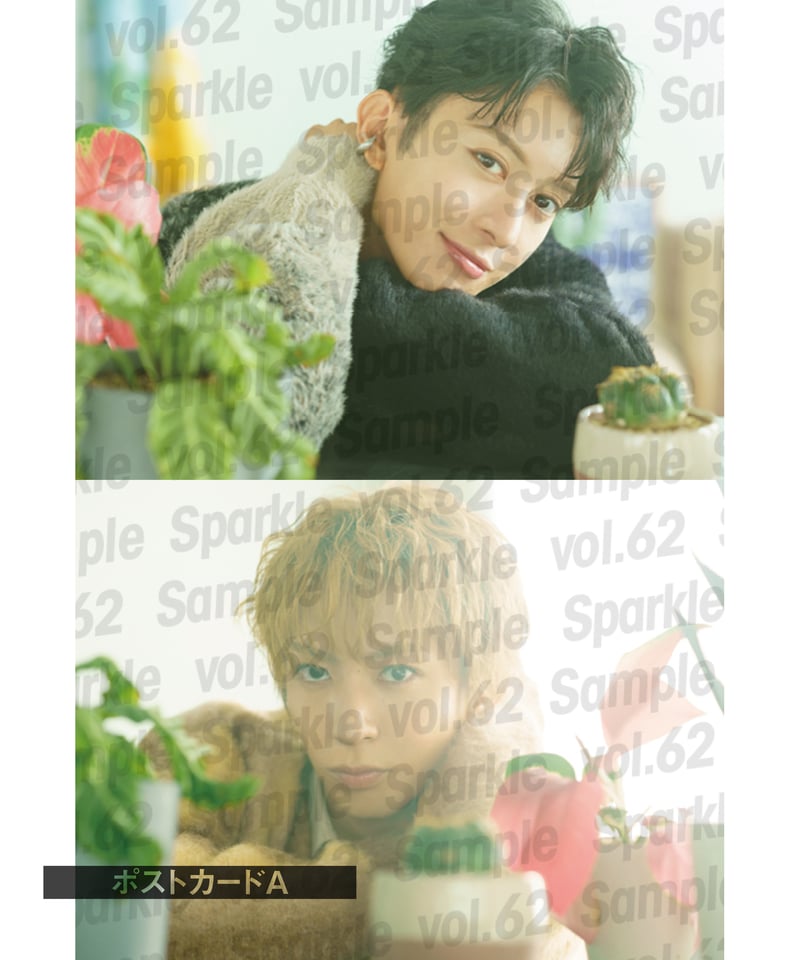 Sparkle vol.62』【MEDIABOYSHOP限定特典:菊池修司 × 松島勇之 Sparkle vol.62』【MEDIABOYSHOP限定特典:菊池修司 × 松島勇之