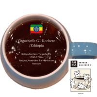 Yirgacheffe G1 Kochere  |Ethiopia specialty coffee 100g