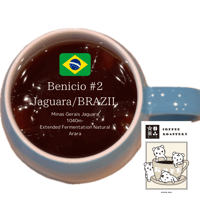 Benicio #2 Jaguara |BRAZIL specialty coffee 100g