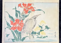 暁斎書譜 河鍋洞郁図 花鳥/河鍋暁斎