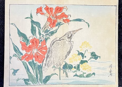 暁斎書譜 河鍋洞郁図 花鳥/河鍋暁斎