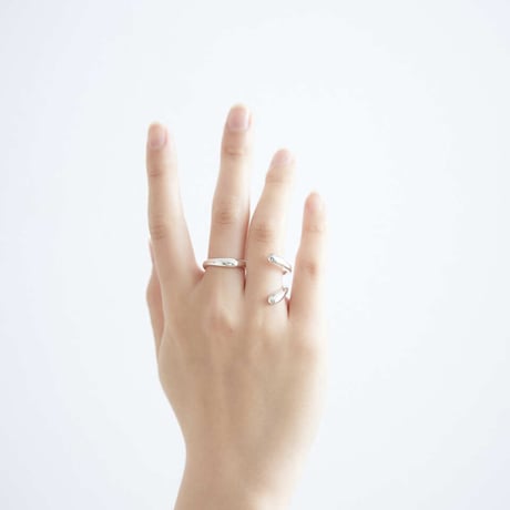 sign  two ring