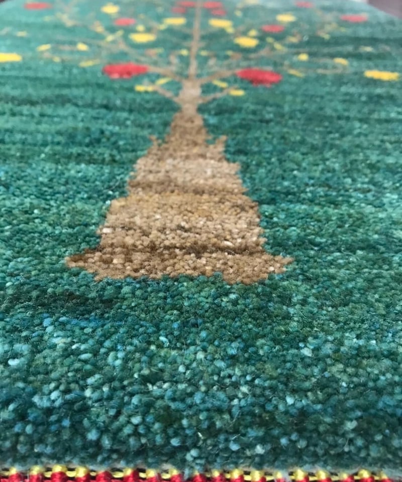 手織りペルシャ絨毯新品ギャッベギャべリズバフ353×245Ni433