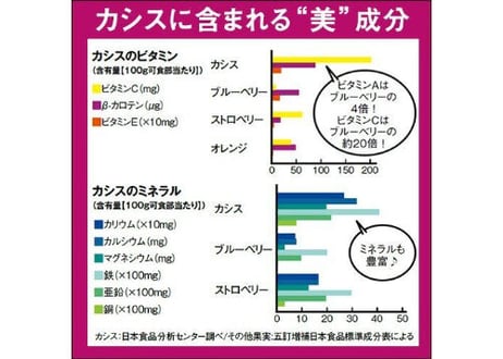 オーガニックスーパーエキス　　　　　　　　　　　　　　　　■古代のカシス　　　　　　　　　　　　　　　　　　　　　　　(30包入り/1ヶ月分)
