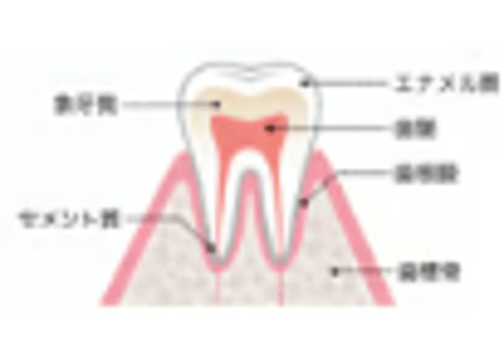 あなたの歯をしっかりガード　　　　　　　　　　◼️元気白い歯の素　　　　　　　　　　　　　　　　　　　　　　　　　　　（100ｇ）1ケ月分