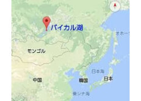 オーガニックスーパーエキス　　　　　　　　　　　　　　　　■古代のカシス　　　　　　　　　　　　　　　　　　　　　　　(30包入り/1ヶ月分)
