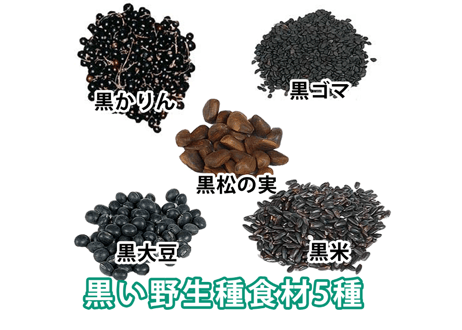 オーガニックスーパーフード　　　　　　　　　　　　　　　　■古代食くろご　　　　　　　　　　　（800g入り/1ケ月分）