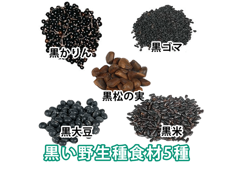 古代食くろご６袋 楽天市場】送料無料 古代食くろご 千年前の食品舎 800g 黒五粉末