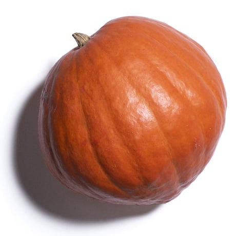 ジャンボかぼちゃ　アトランティックジャイアント　20-40㎏