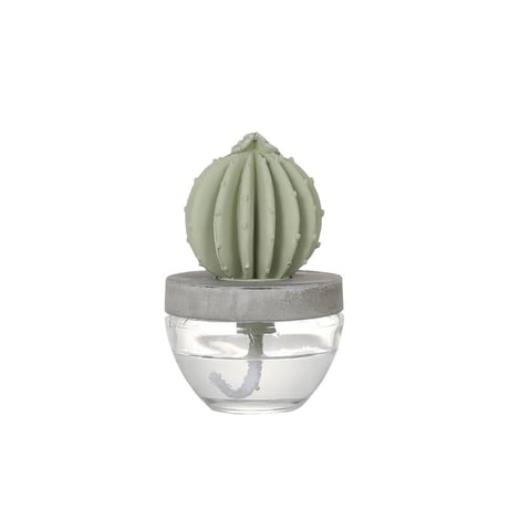Cactus fragrance diffuser　カクタス フレグランス ディフューザー
