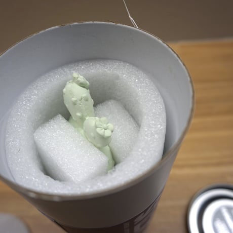 Cactus fragrance diffuser　カクタス フレグランス ディフューザー