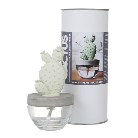 Cactus fragrance diffuser　カクタス フレグランス ディフューザー