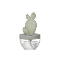 Cactus fragrance diffuser　カクタス フレグランス ディフューザー