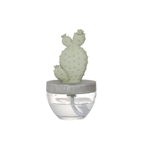 Cactus fragrance diffuser　カクタス フレグランス ディフューザー