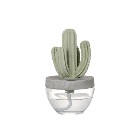 Cactus fragrance diffuser　カクタス フレグランス ディフューザー