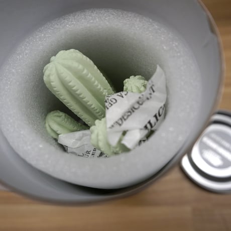 Cactus fragrance diffuser　カクタス フレグランス ディフューザー