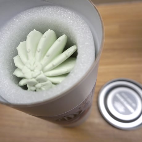 Cactus fragrance diffuser　カクタス フレグランス ディフューザー