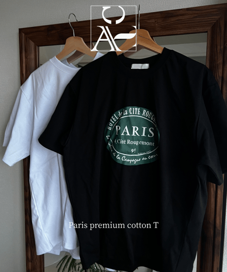 Paris premium cotton T