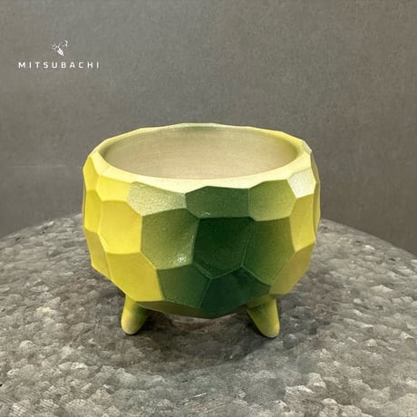 CATEGORY 鉢 | Green Shop MITSUBACHI