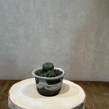 RUST PLAN 限定アルミ鉢 検)バリエム カタチ製作所 インビジブルインク RUST PLAN 限定アルミ鉢 検)バリエム カタチ製作所 インビジブル