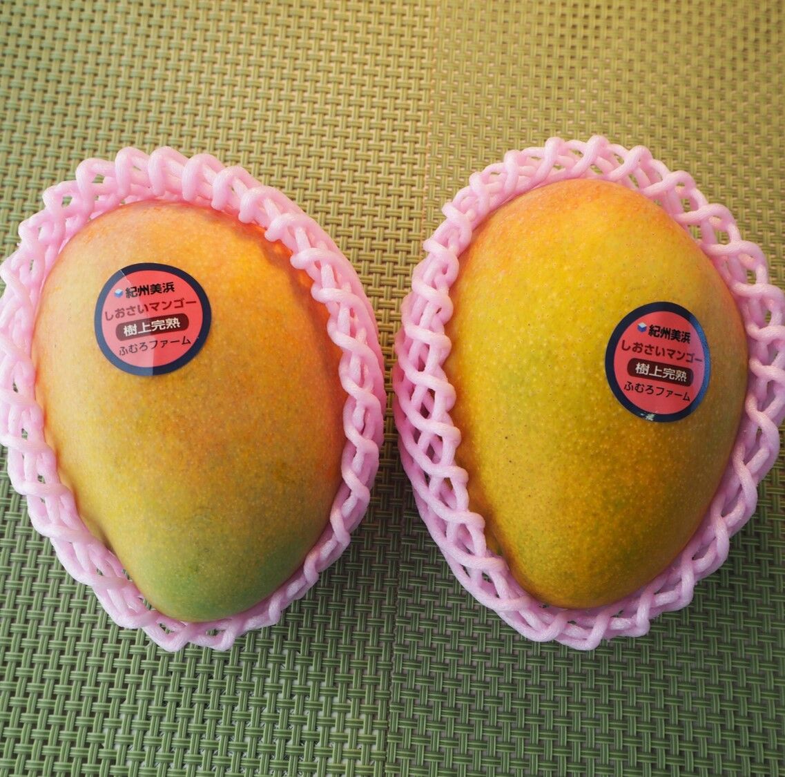 摘果マンゴー約8キロ 61VQEbQPd1L._UF350,350_QL50_.jpg