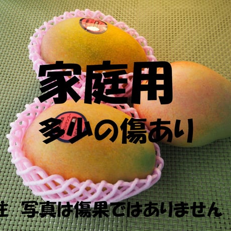 家庭用　紀州美浜しおさいマンゴー800～900g（2～3玉）