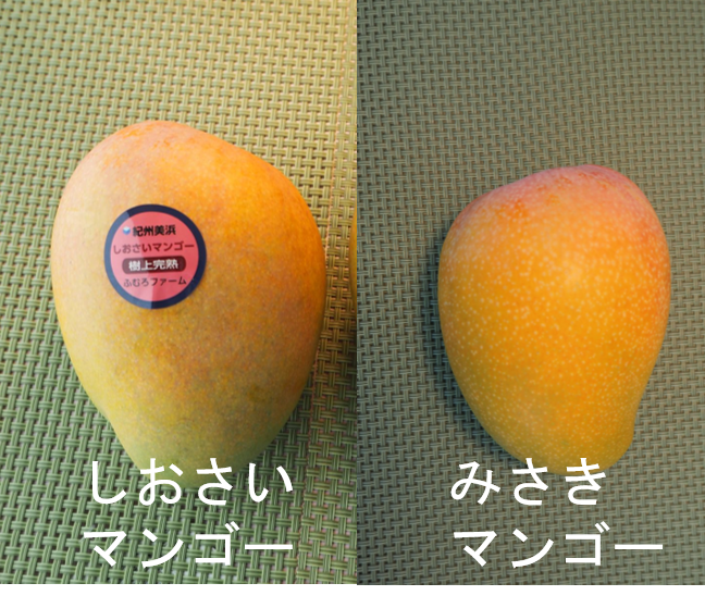 ふむろファーム