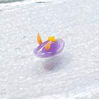 シンデレラウミウシ ☆複数ご注文の際は予めご連絡ください。