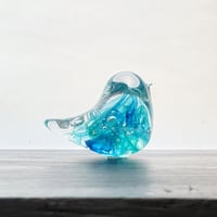 アクア×ラムネの小鳥☆ご注文前に在庫があるかメールでお問い合わせください