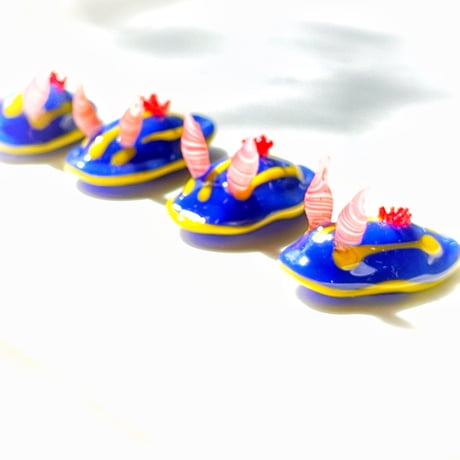 アオウミウシ ☆複数ご注文の際は予めご連絡ください。