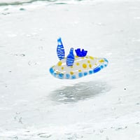 コモンウミウシ ☆複数ご注文の際は予めご連絡ください。