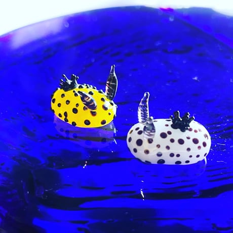 ゴマフビロードウミウシ ☆複数ご注文の際は予めご連絡ください。