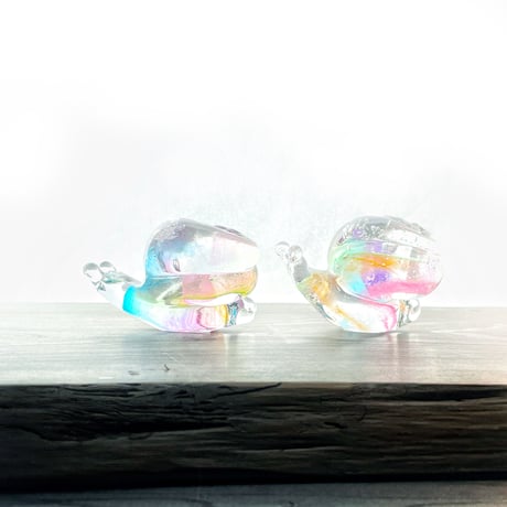 虹色のカタツムリ L☆ご注文前に在庫の有無をメールでお問い合わせください