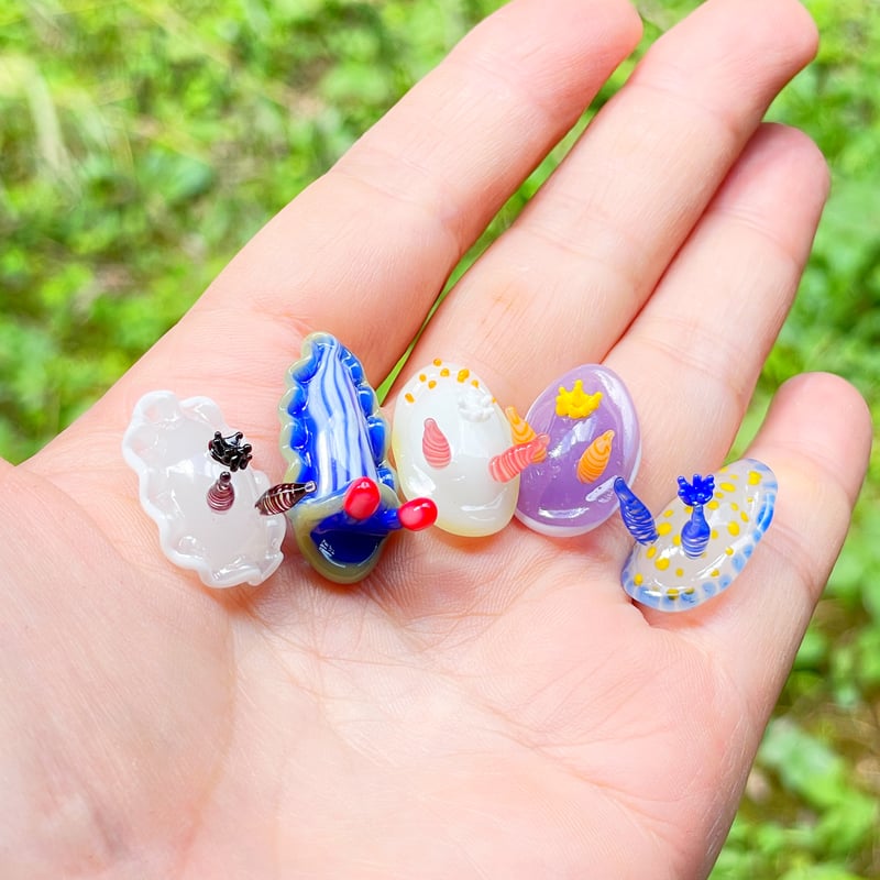 サメジマオトメウミウシ ☆複数ご注文の際は予めご連絡ください