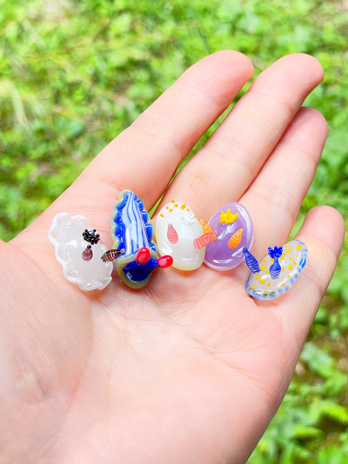 サメジマオトメウミウシ ☆複数ご注文の際は予めご連絡ください