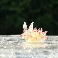 イガグリウミウシ