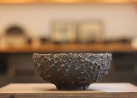 CATEGORY 陶房kibi | BJ PLANTS