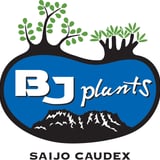 ＢＪ　ＰＬＡＮＴＳ