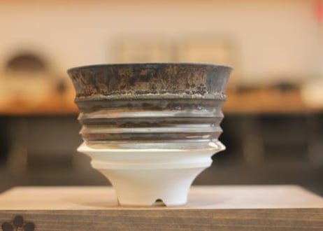 CATEGORY 陶房kibi | BJ PLANTS