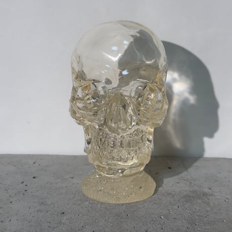 Skull Clear Object