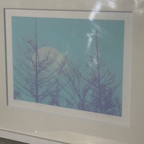 Winter Forest Moon Picture