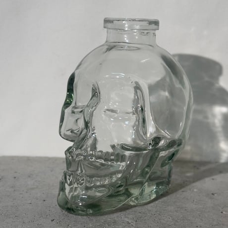 Skull Glass Vase