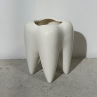 Milk Tooth Case