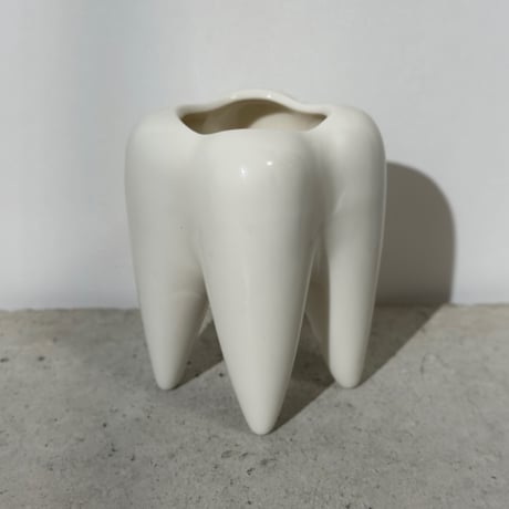 Milk Tooth Case
