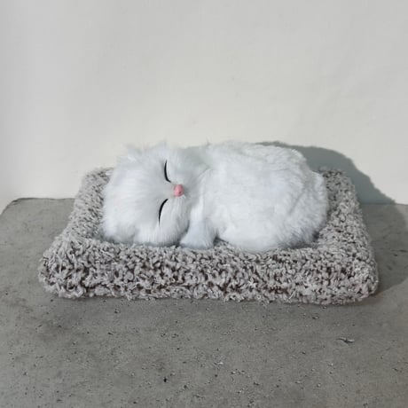 Sleeping Cat